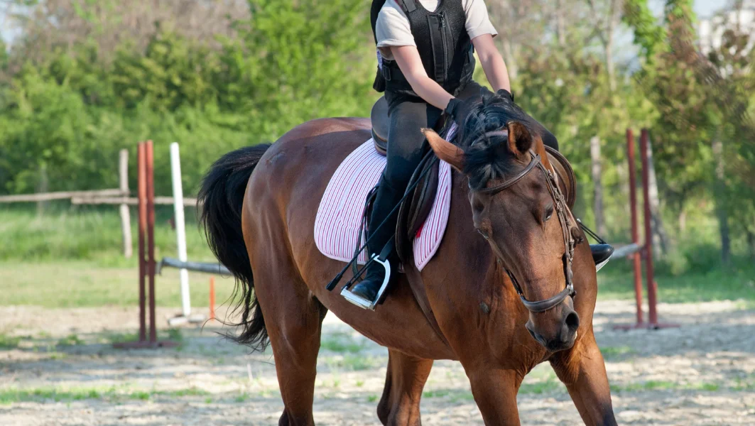 กิจกรรมในกรุงเทพ เรียนขี่ม้า