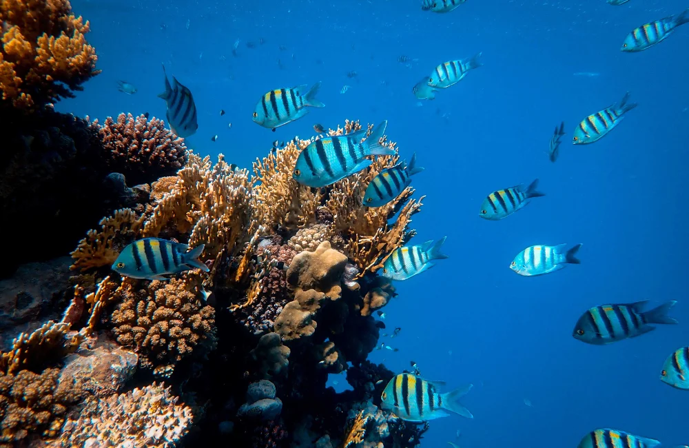 สงกรานต์เที่ยวไหนดี