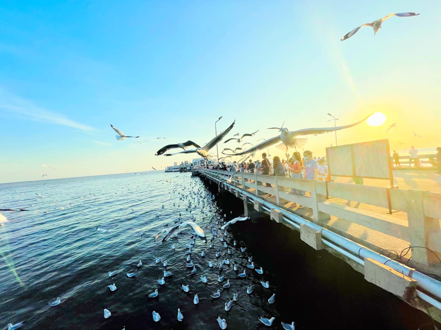 5. Visit Samut Prakan, Bang Pu Resort – a place to watch the sunset and a home to many seagulls.