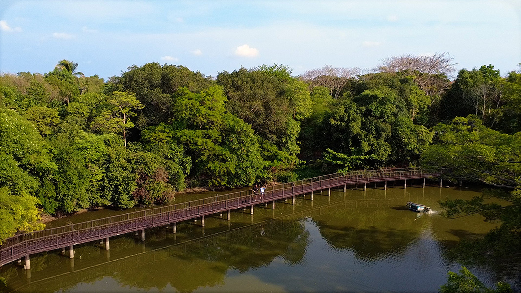 Sri Nakhon Khuean Khan Park and Botanical Garden or Bang Kachao 