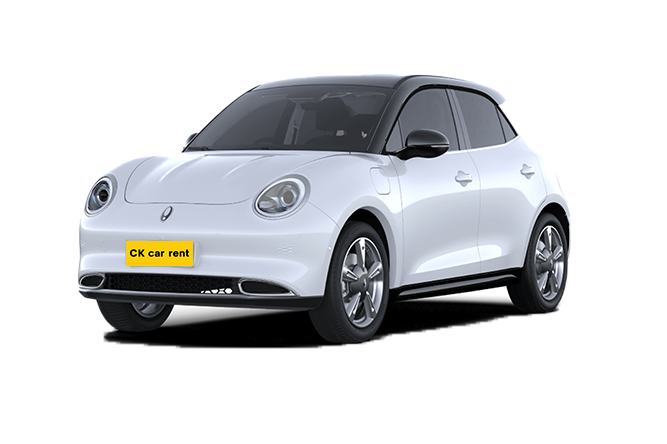 renting an electric car ORA Good Cat