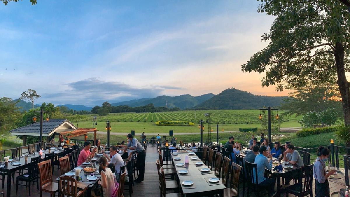 ไร่องุ่นพีบีวัลเล่ย์ (PB Valley)