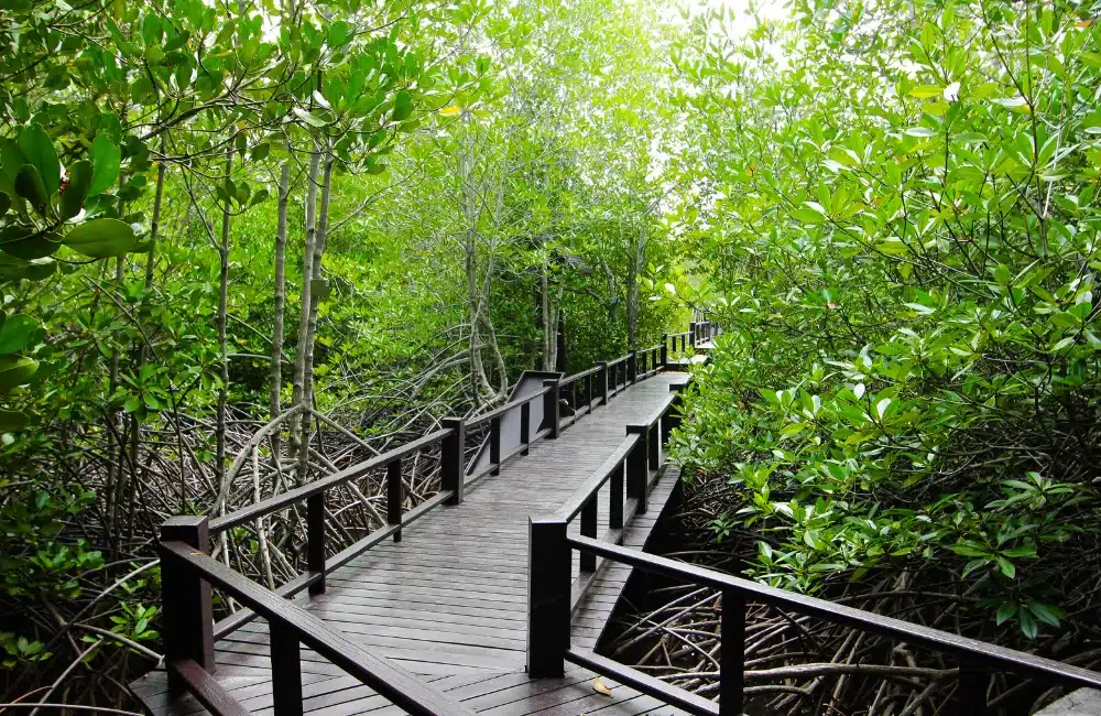 อุทยานปราณบุรี